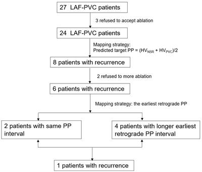 Premature Ventricular Contractions From the Left Anterior Fascicle: Electrocardiographic and Electrophysiological Characteristics, Mapping Strategy, and Immediate and Long-Term Catheter Ablation Results